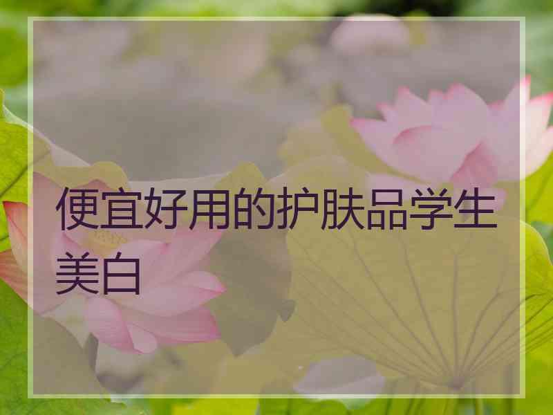 便宜好用的护肤品学生美白 便宜好用的护肤品学生美白