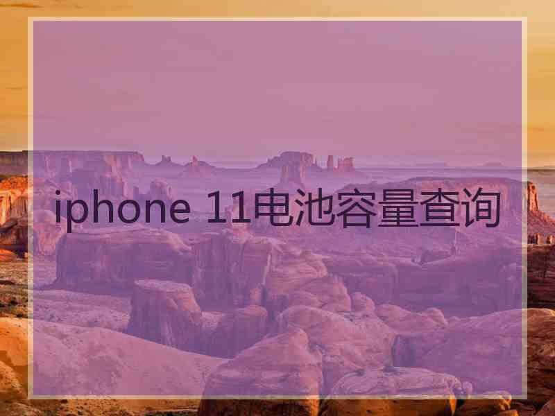 iphone 11电池容量查询 iphone 11电池容量查询