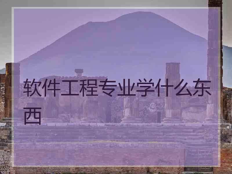 软件工程专业学什么东西 软件工程专业学什么东西