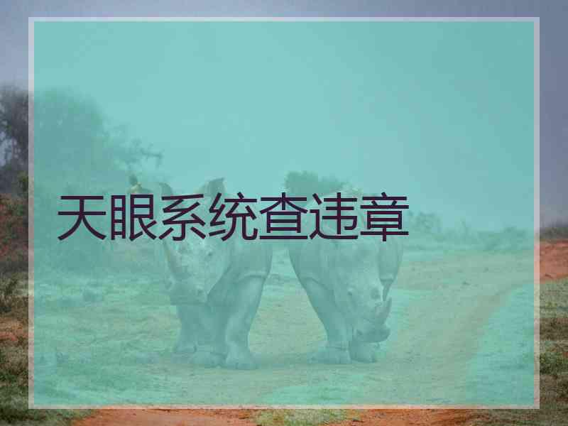 天眼系统查违章 天眼系统查违章