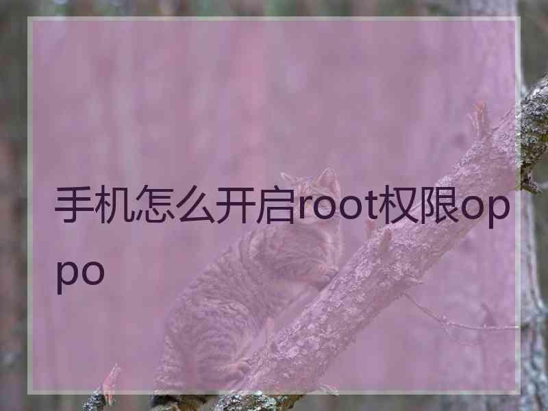 手机怎么开启root权限oppo 手机怎么开启root权限oppo