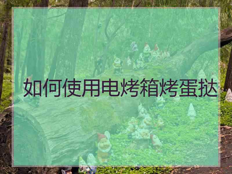 如何使用电烤箱烤蛋挞 如何使用电烤箱烤蛋挞