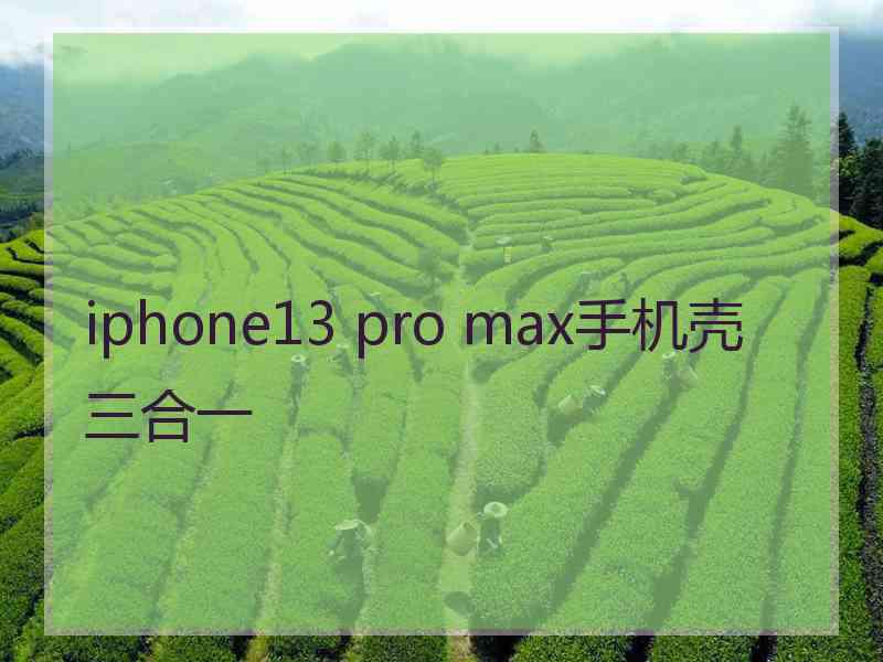 iphone13 pro max手机壳三合一 iphone13 pro max手机壳三合一