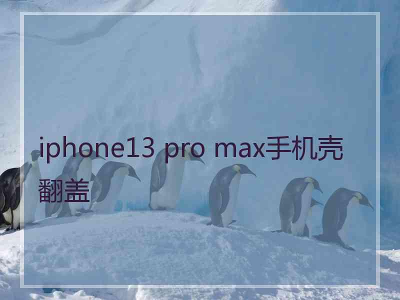 iphone13 pro max手机壳翻盖 iphone13 pro max手机壳翻盖