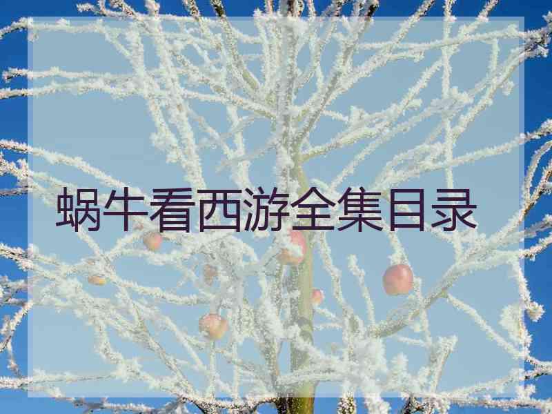 蜗牛看西游全集目录 蜗牛看西游全集目录