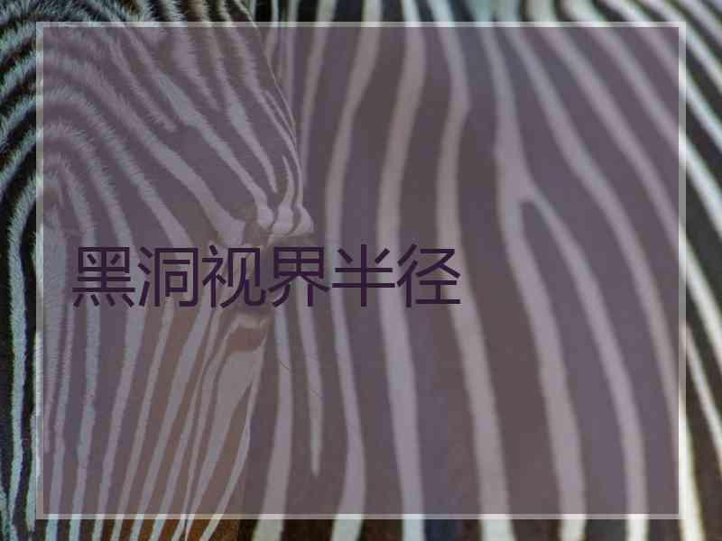 黑洞视界半径 黑洞视界半径