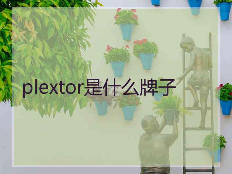 plextor是什么牌子