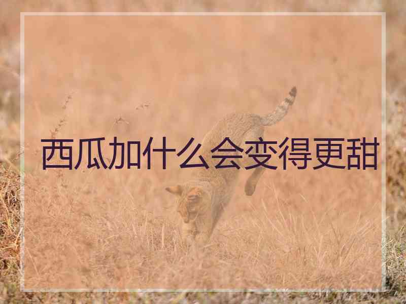 西瓜加什么会变得更甜 西瓜加什么会变得更甜