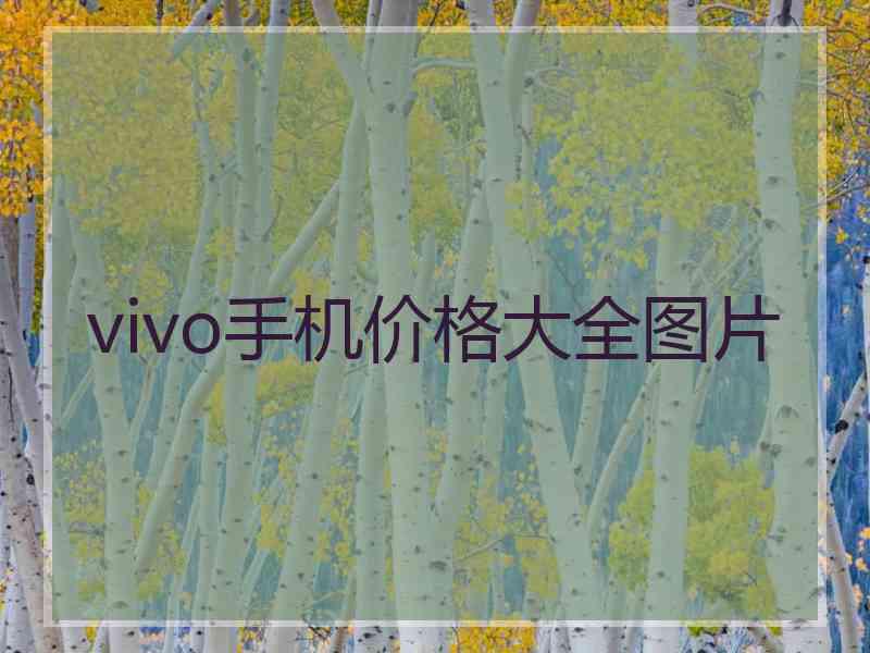 vivo手机价格大全图片 vivo手机价格大全图片
