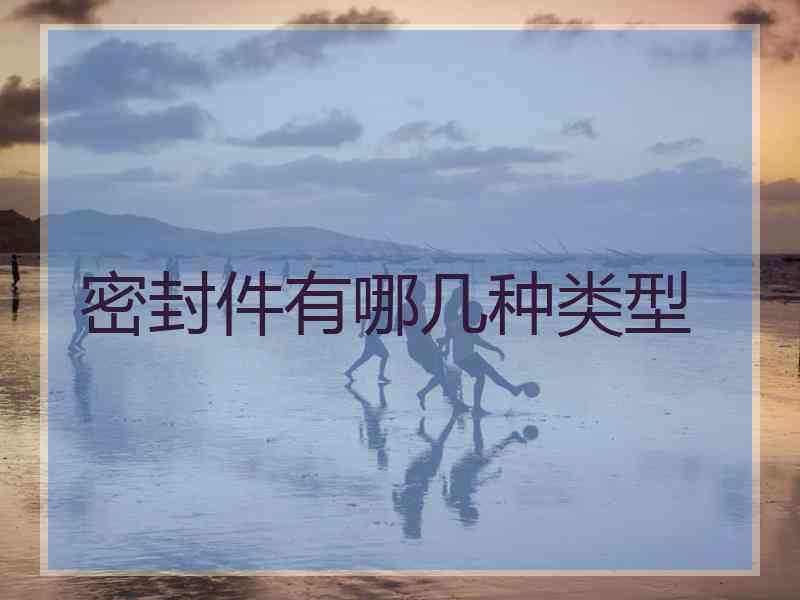 密封件有哪几种类型 密封件有哪几种类型