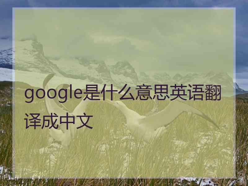 google是什么意思英语翻译成中文 google是什么意思英语翻译成中文