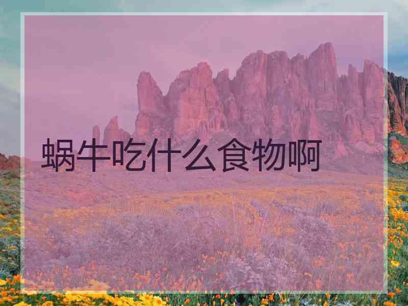 蜗牛吃什么食物啊 蜗牛吃什么食物啊