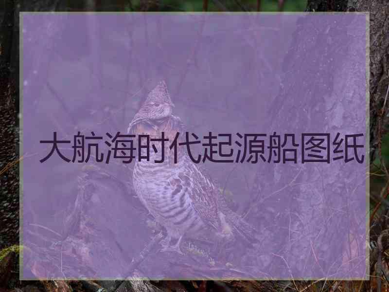 大航海时代起源船图纸 大航海时代起源船图纸