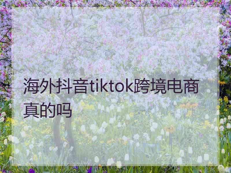 海外抖音tiktok跨境电商真的吗 海外抖音tiktok跨境电商真的吗