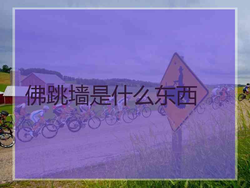 佛跳墙是什么东西 佛跳墙是什么东西