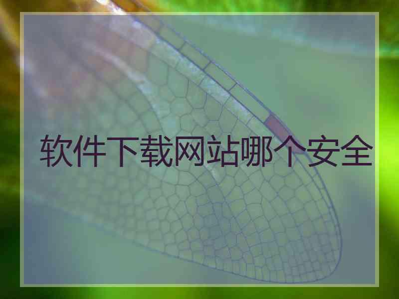软件下载网站哪个安全 软件下载网站哪个安全