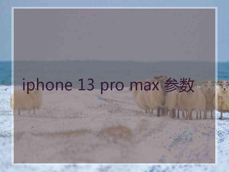 iphone 13 pro max 参数 iphone 13 pro max 参数