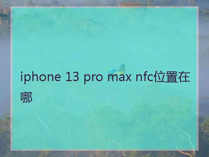 iphone 13 pro max nfc位置在哪 iphone 13 pro max nfc位置在哪