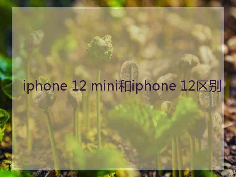 iphone 12 mini和iphone 12区别 iphone 12 mini和iphone 12区别