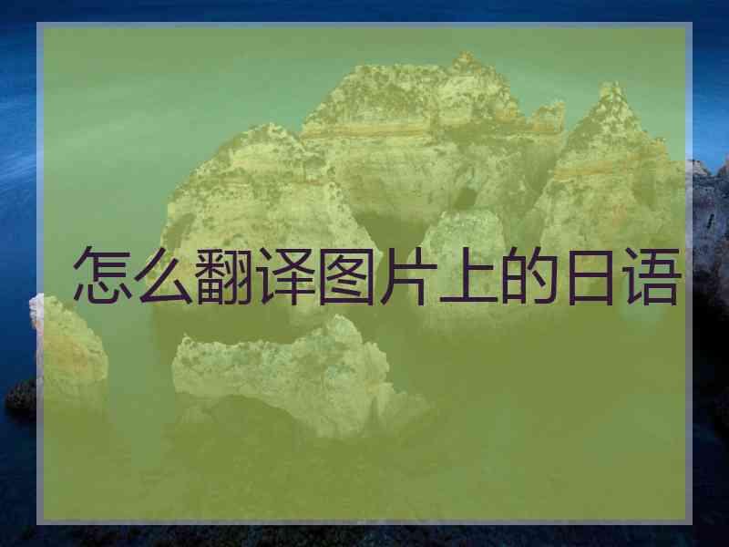 怎么翻译图片上的日语 怎么翻译图片上的日语