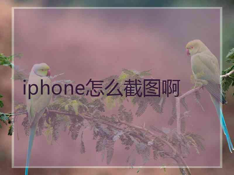 iphone怎么截图啊 iphone怎么截图啊