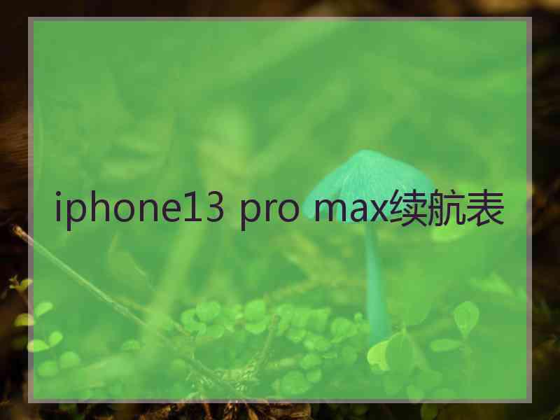 iphone13 pro max续航表 iphone13 pro max续航表