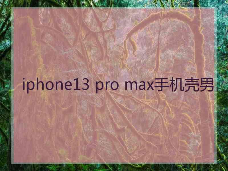 iphone13 pro max手机壳男 iphone13 pro max手机壳男