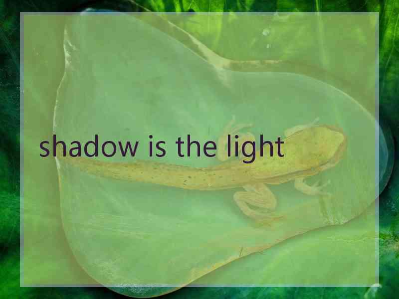 shadow is the light