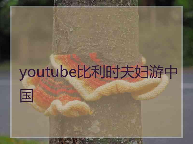 youtube比利时夫妇游中国