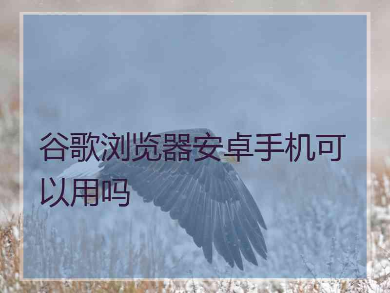 谷歌浏览器安卓手机可以用吗 谷歌浏览器安卓手机可以用吗