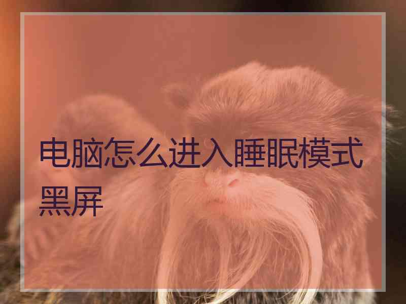 电脑怎么进入睡眠模式黑屏 电脑怎么进入睡眠模式黑屏