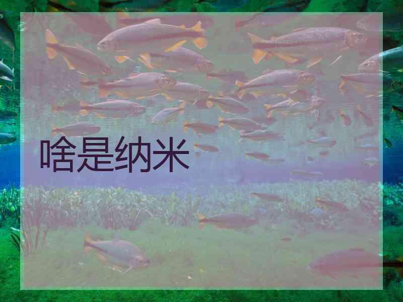 啥是纳米 啥是纳米