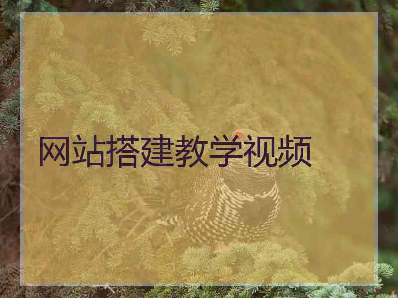 网站搭建教学视频 网站搭建教学视频