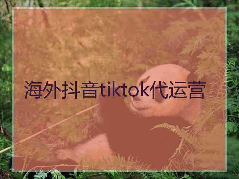 海外抖音tiktok代运营 海外抖音tiktok代运营