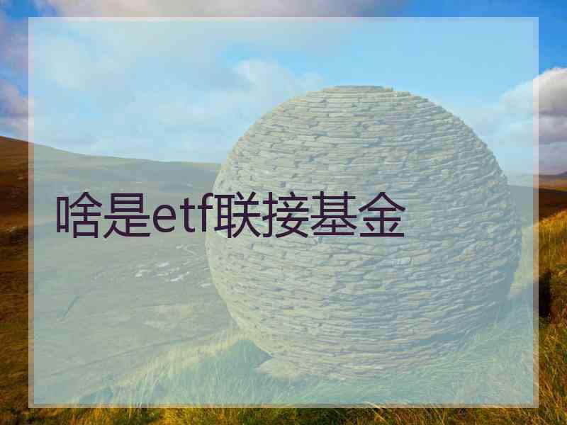 啥是etf联接基金 啥是etf联接基金