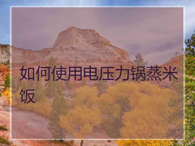 如何使用电压力锅蒸米饭 如何使用电压力锅蒸米饭