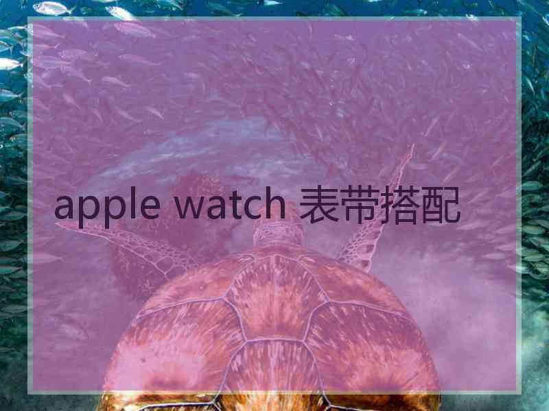 apple watch 表带搭配 apple watch 表带搭配