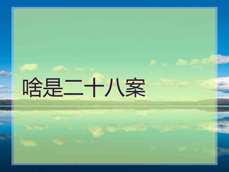 啥是二十八案 啥是二十八案
