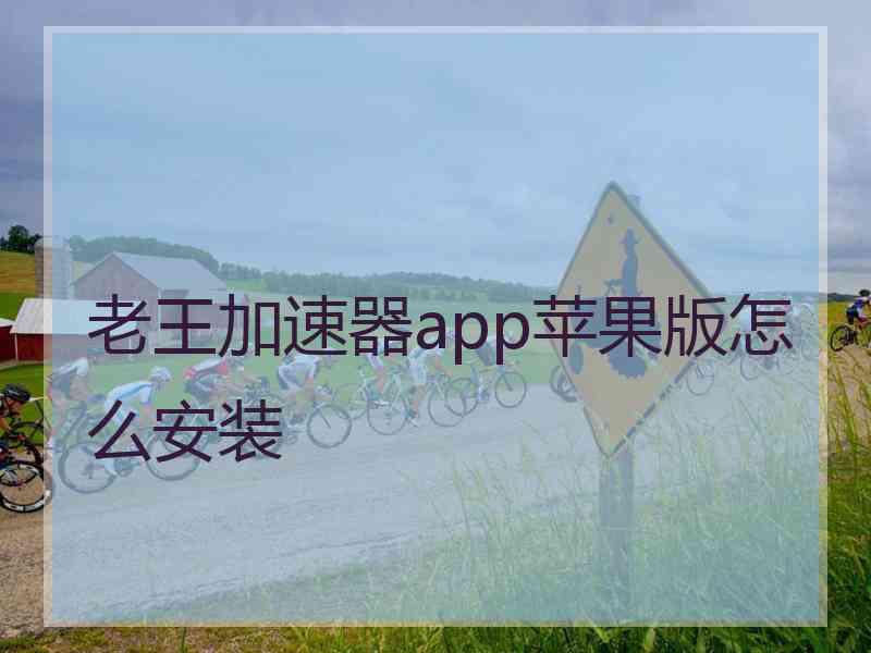 老王加速器app苹果版怎么安装