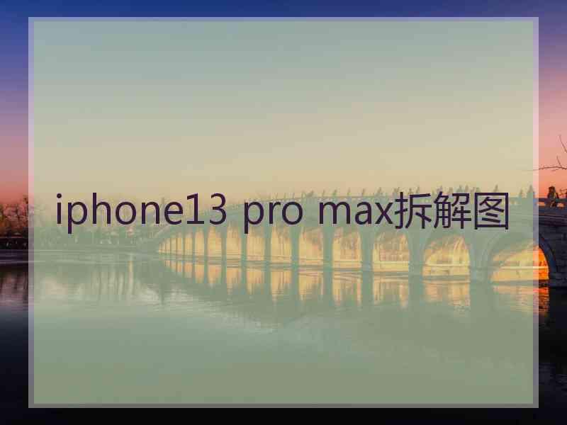 iphone13 pro max拆解图 iphone13 pro max拆解图