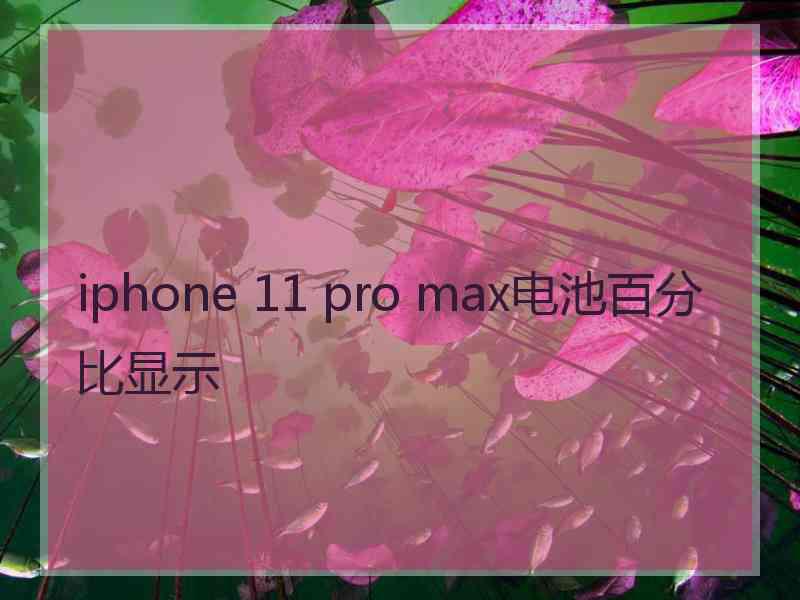 iphone 11 pro max电池百分比显示 iphone 11 pro max电池百分比显示