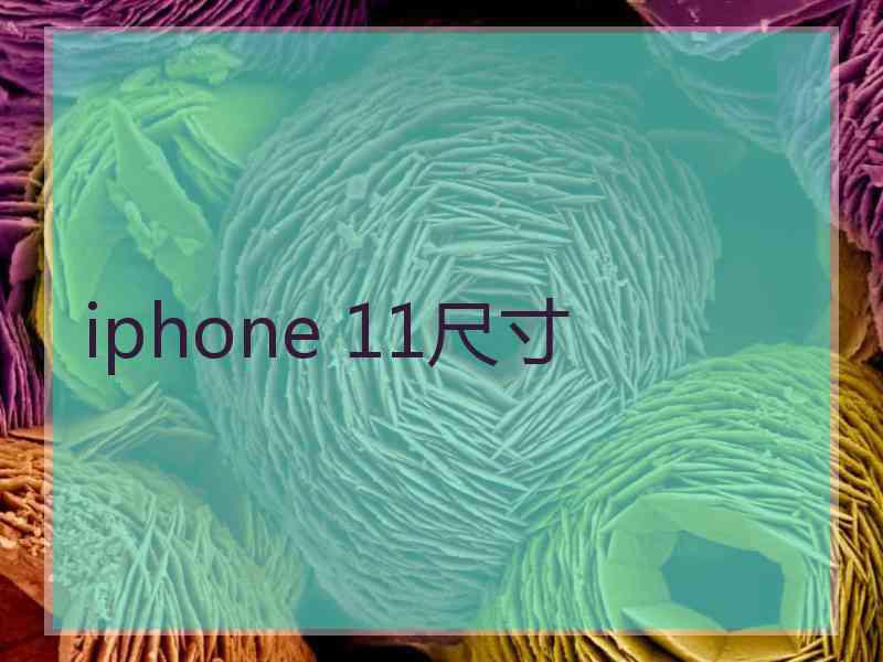 iphone 11尺寸 iphone 11尺寸