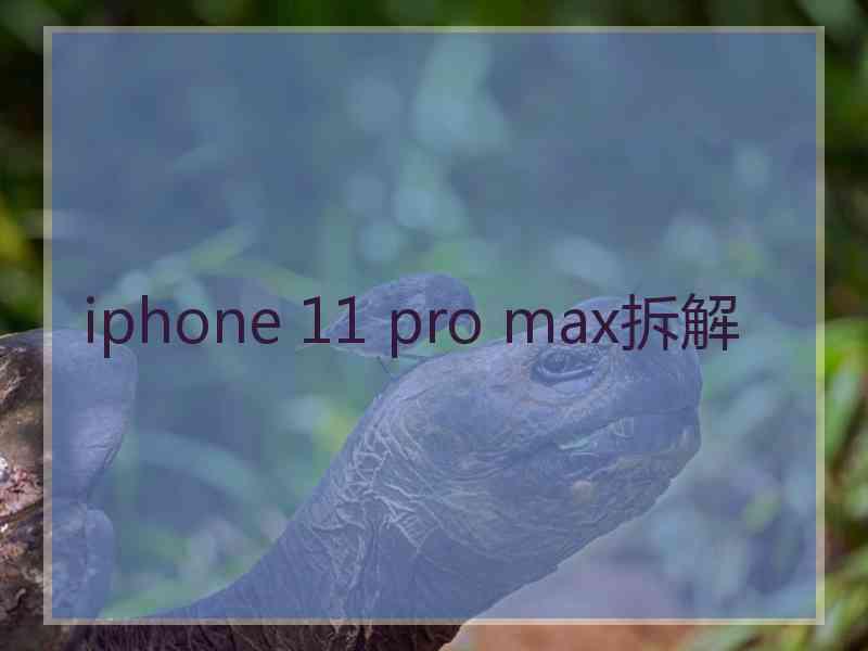 iphone 11 pro max拆解 iphone 11 pro max拆解