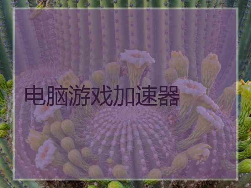 电脑游戏加速器 电脑游戏加速器