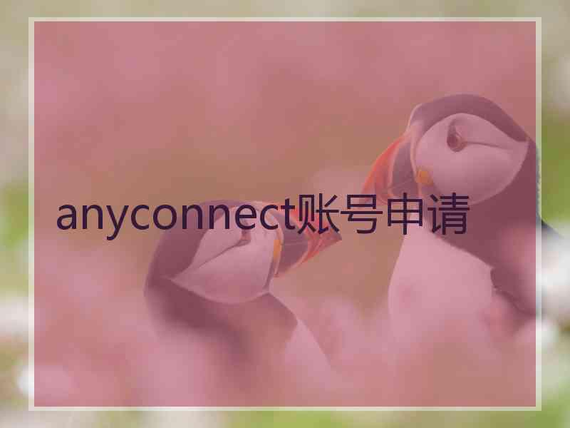 anyconnect账号申请