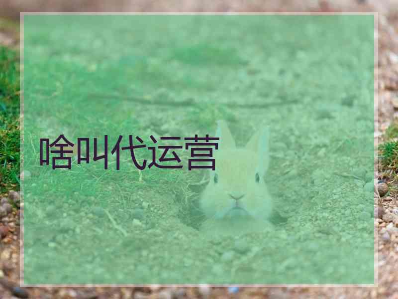 啥叫代运营 啥叫代运营