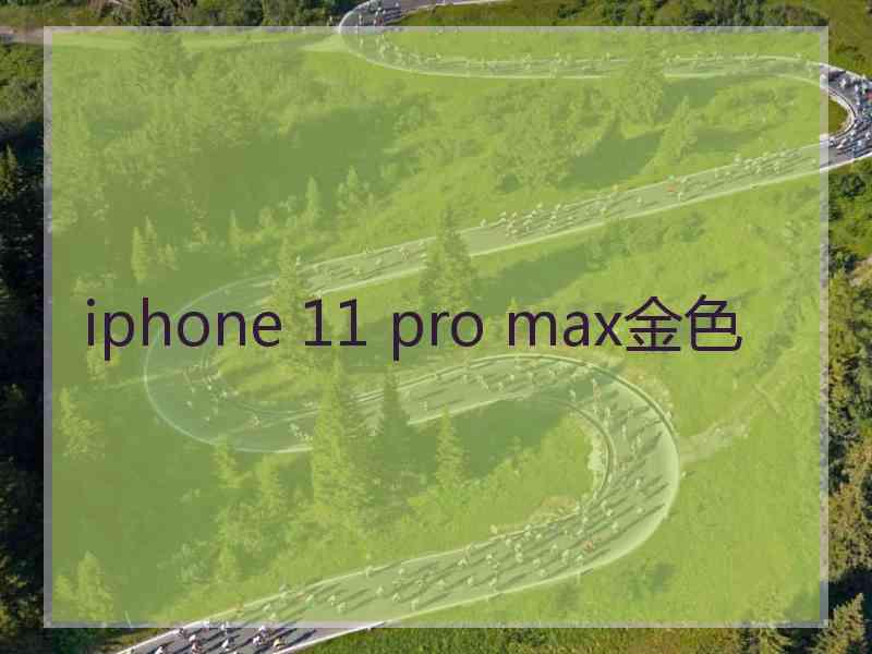 iphone 11 pro max金色 iphone 11 pro max金色