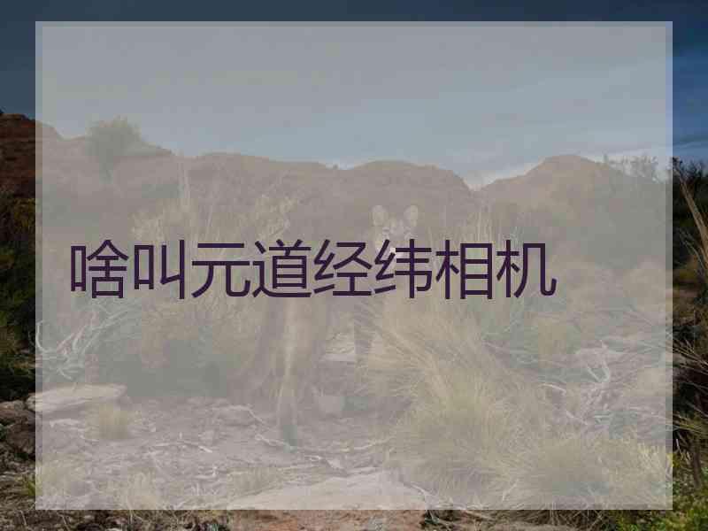 啥叫元道经纬相机 啥叫元道经纬相机
