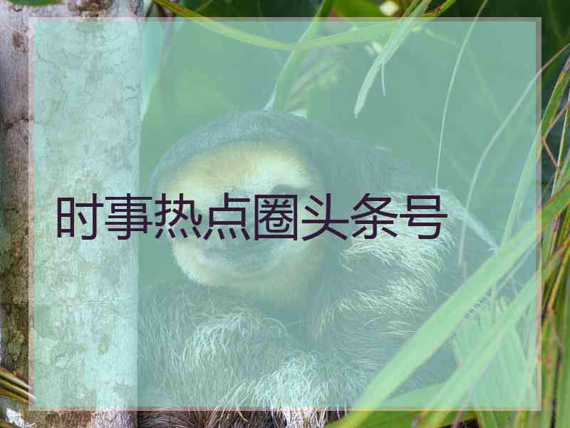 时事热点圈头条号 时事热点圈头条号