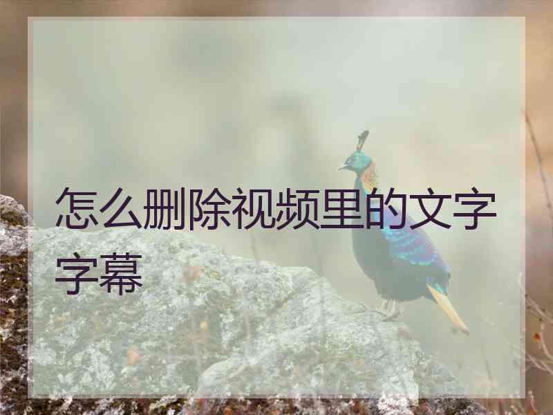 怎么删除视频里的文字字幕 怎么删除视频里的文字字幕